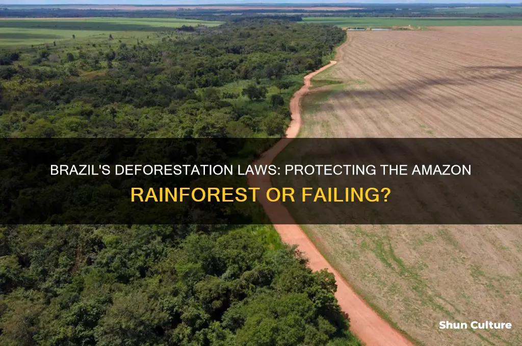 does brazil have a law against deforestation