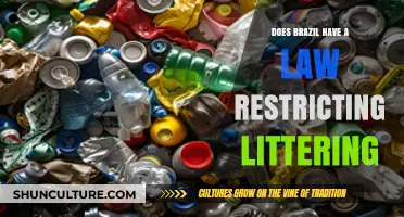 Brazil's Littering Laws: Restrictions, Penalties, and Environmental Impact Explained