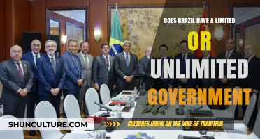 Brazil's Government: Limited or Unlimited? Exploring Its Political Structure