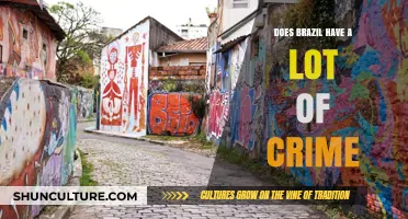 Brazil's Crime Rates: Uncovering the Truth Behind the Headlines