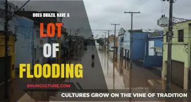 Brazil's Flooding Crisis: Causes, Impacts, and Prevention Strategies
