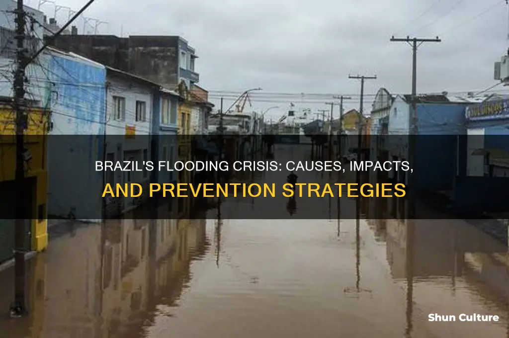 does brazil have a lot of flooding