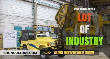 Brazil's Industrial Powerhouse: Exploring Its Diverse Manufacturing Sector