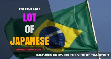 Exploring Brazil's Vibrant Japanese Community: A Cultural Fusion Story