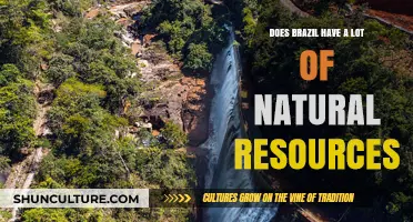 Brazil's Natural Wealth: Exploring Its Abundant Resources and Global Impact