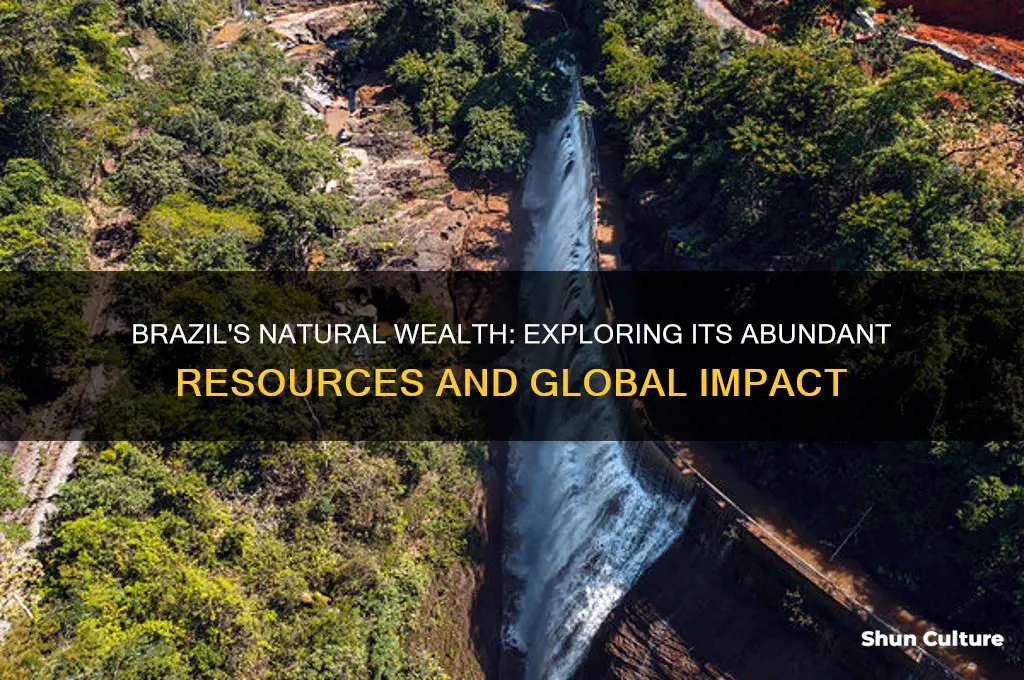 does brazil have a lot of natural resources