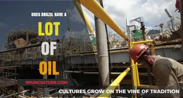 Brazil's Oil Reserves: A Major Player in Global Energy?