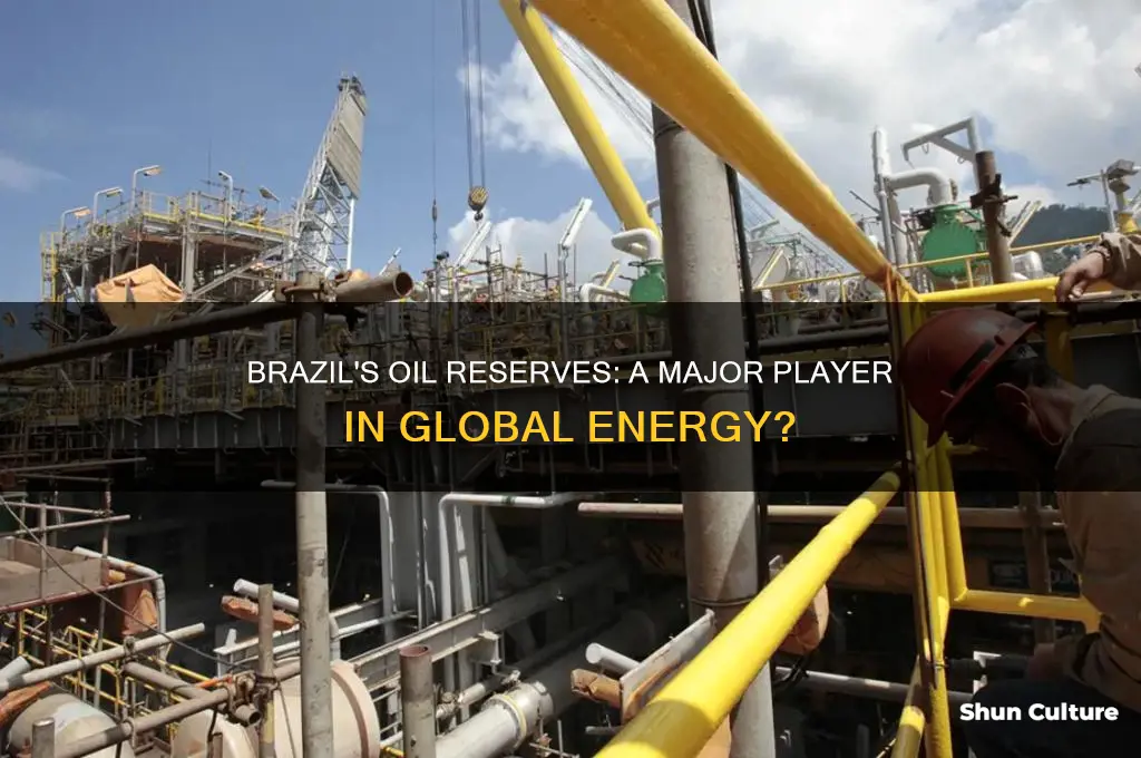 does brazil have a lot of oil
