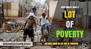 Brazil's Poverty Crisis: Unveiling the Reality Behind the Statistics