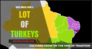 Exploring Brazil's Turkey Population: Facts and Surprising Insights