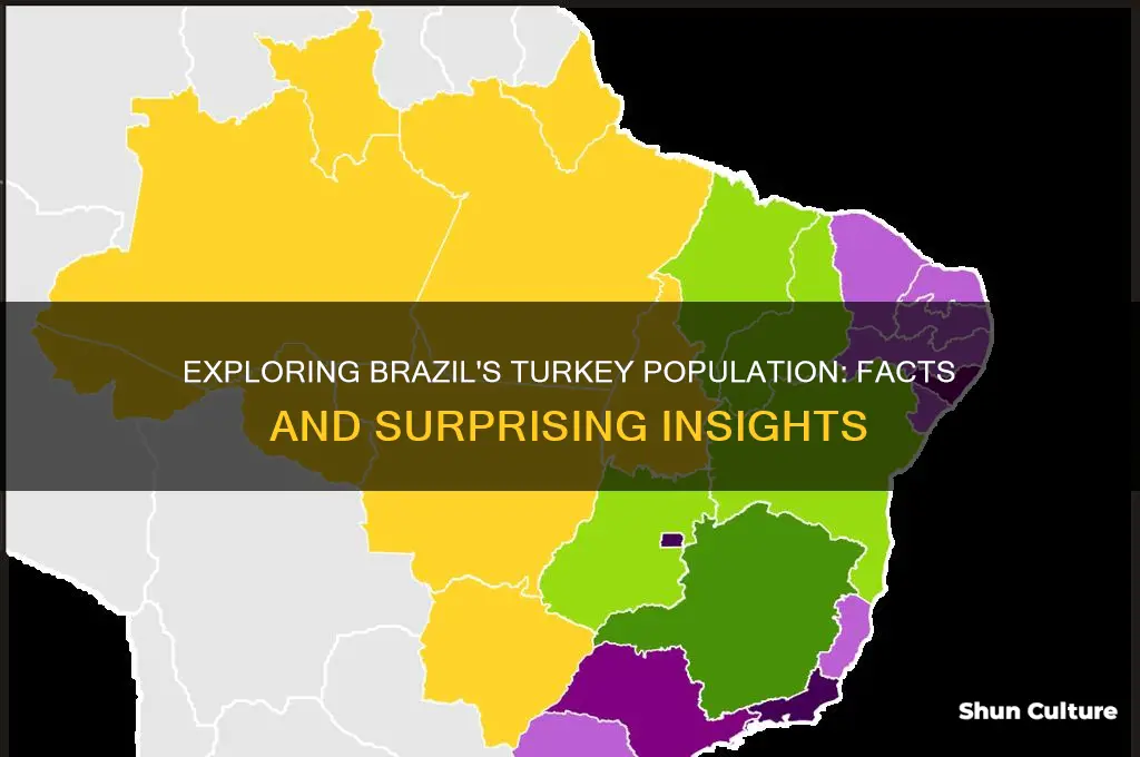 does brazil have a lot of turkeys