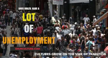 Brazil's Unemployment Crisis: Causes, Impact, and Potential Solutions Explored