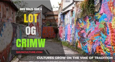Exploring Brazil's Crime Rates: Myths, Realities, and Safety Concerns