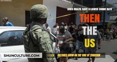 Brazil vs. US Crime Rates: A Comparative Analysis of Safety