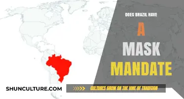 Brazil's Mask Mandate: Current Rules and Public Health Measures Explained
