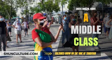 Brazil's Middle Class: Reality, Challenges, and Economic Impact Explored