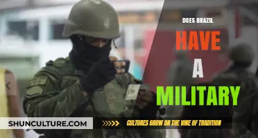 Brazil's Military: Strength, Structure, and Global Role Explained