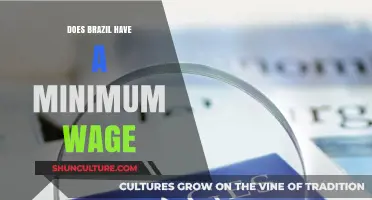 Brazil's Minimum Wage: Understanding the Current Labor Laws and Rates