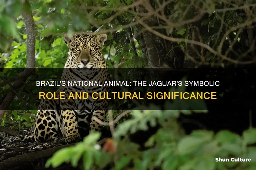 does brazil have a national animal