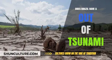 Brazil's Tsunami Risk: Understanding the Threat and Preparedness Measures
