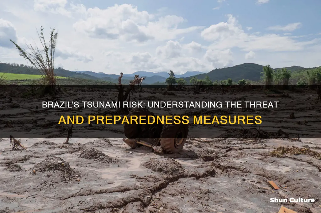 does brazil have a out of tsunami