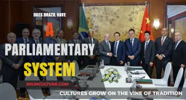 Exploring Brazil's Government: Does It Operate Under a Parliamentary System?