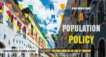 Brazil's Population Policy: Strategies, Challenges, and Future Outlook