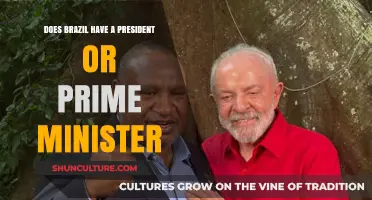 Brazil's Leadership: President or Prime Minister? Understanding the System