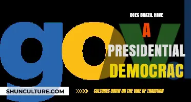 Brazil's Government: A Presidential Democracy or Something Else?