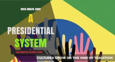 Brazil's Government Structure: Understanding Its Presidential System and Powers