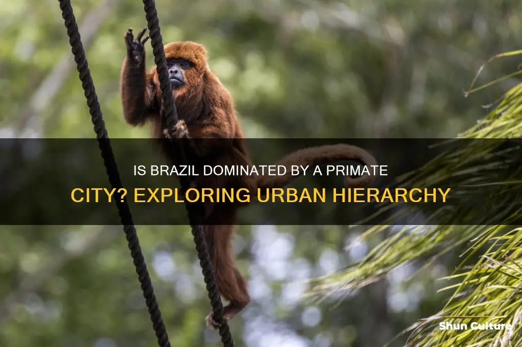 does brazil have a primate city