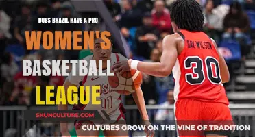 Brazil's Women's Basketball League: A Reality or Just a Dream?