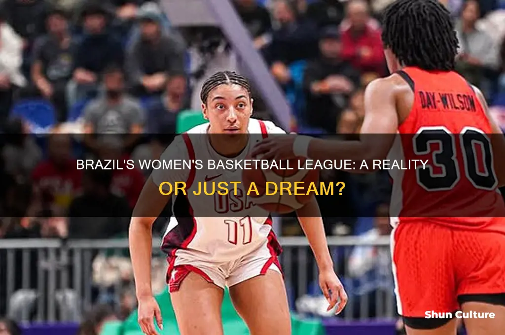 does brazil have a pro women