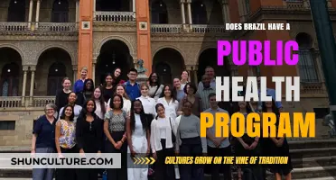 Brazil's Public Health Program: Structure, Impact, and Accessibility Explained