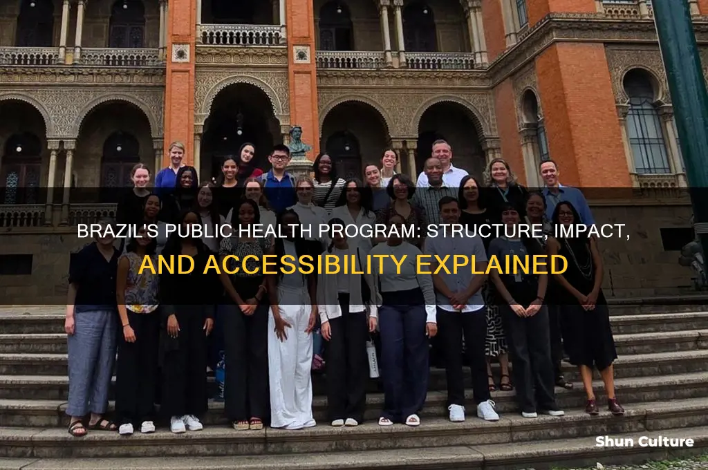 does brazil have a public health program