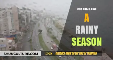 Brazil's Rainy Season: When and Where It Pours Most