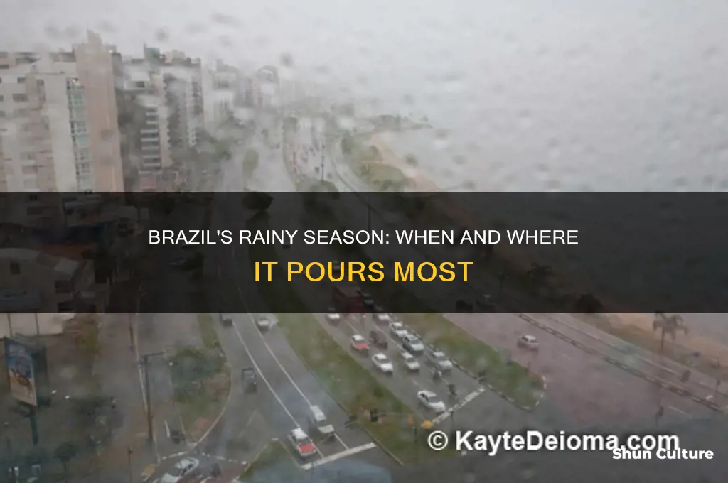 does brazil have a rainy season
