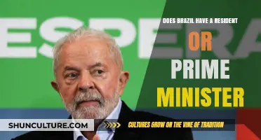 Brazil's Leadership: President or Prime Minister? Understanding the Government