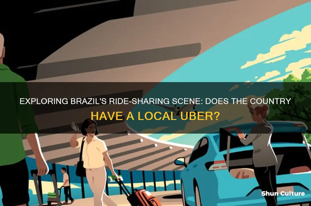 does brazil have a ride share company