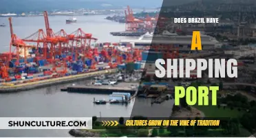 Exploring Brazil's Shipping Ports: Key Hubs and Logistics Insights