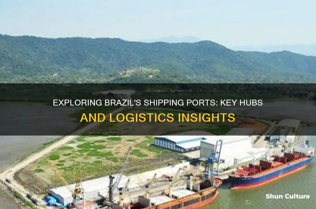 does brazil have a shipping port