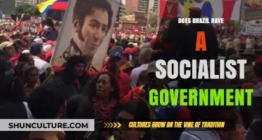 Is Brazil Socialist? Exploring Its Government and Economic Policies
