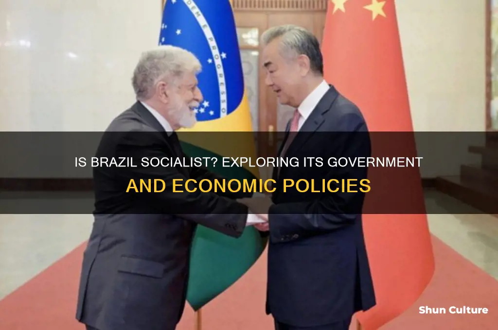 does brazil have a socialist government