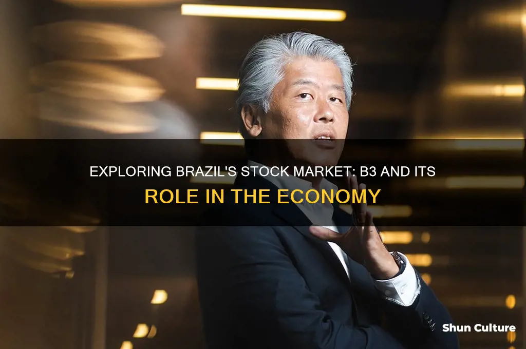 does brazil have a stock market
