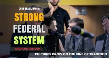 Brazil's Federal System: Strengths, Challenges, and Political Dynamics Explored