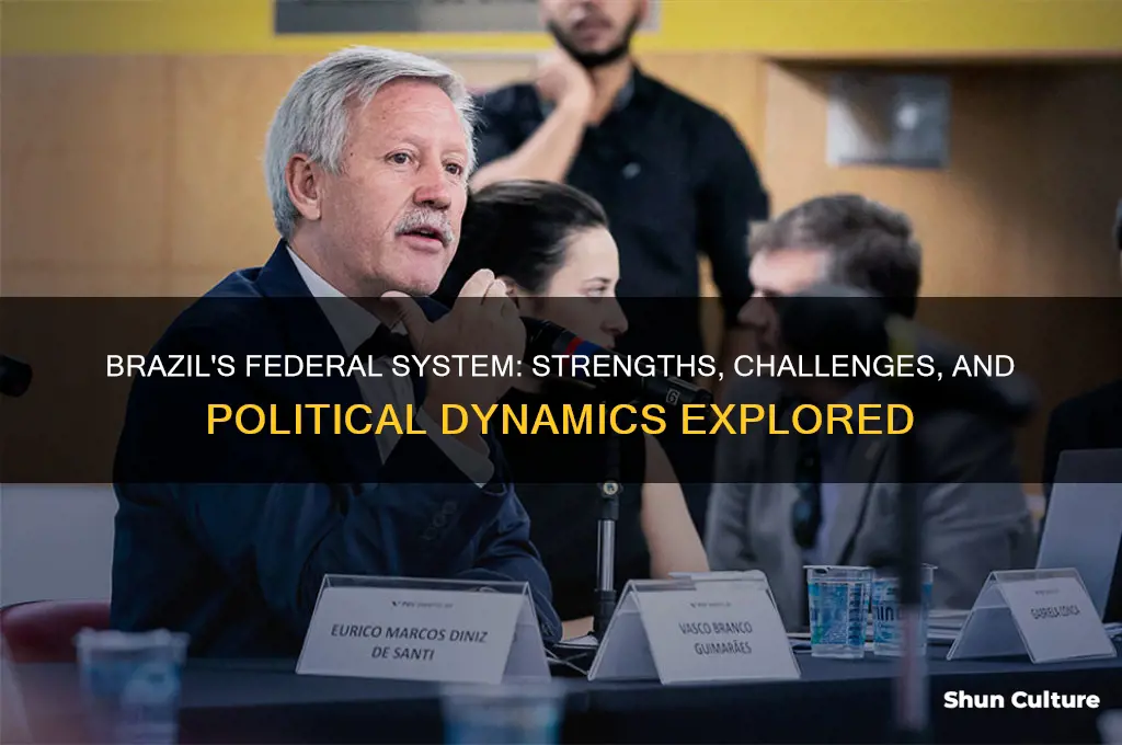 does brazil have a strong federal system