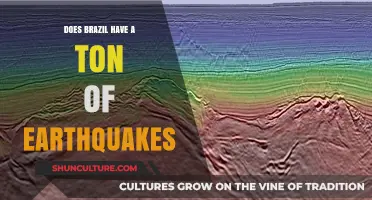 Brazil's Seismic Activity: Uncovering the Truth About Earthquakes in Brazil