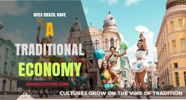 Exploring Brazil's Economic Model: Traditional or Modernized?