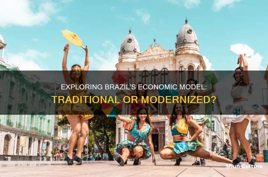 does brazil have a traditional economy