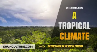 Exploring Brazil's Climate: Is It Truly Tropical?